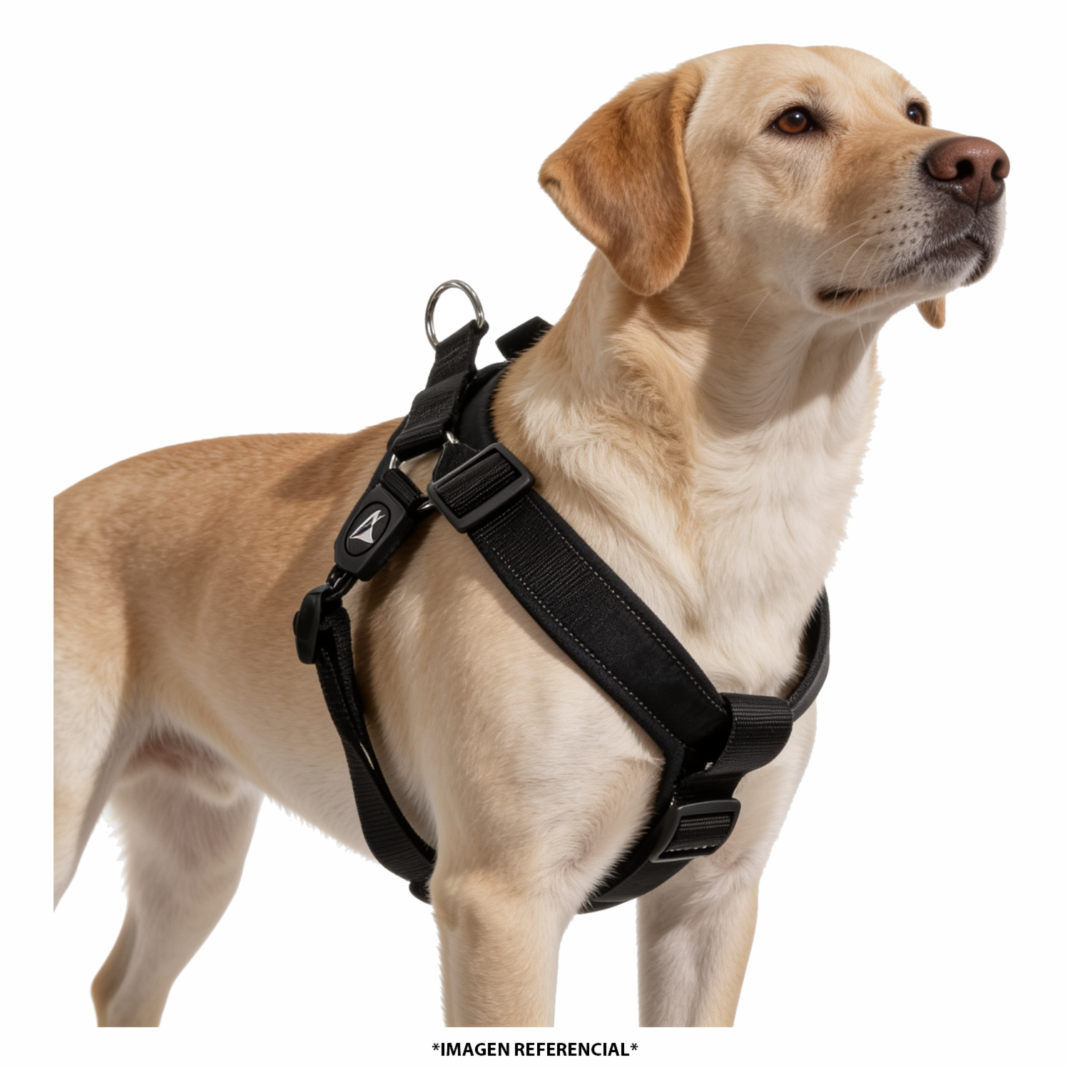 Arnés Para Perro Triangular De Nylon Color Negro DOCO Talla Extra Grande