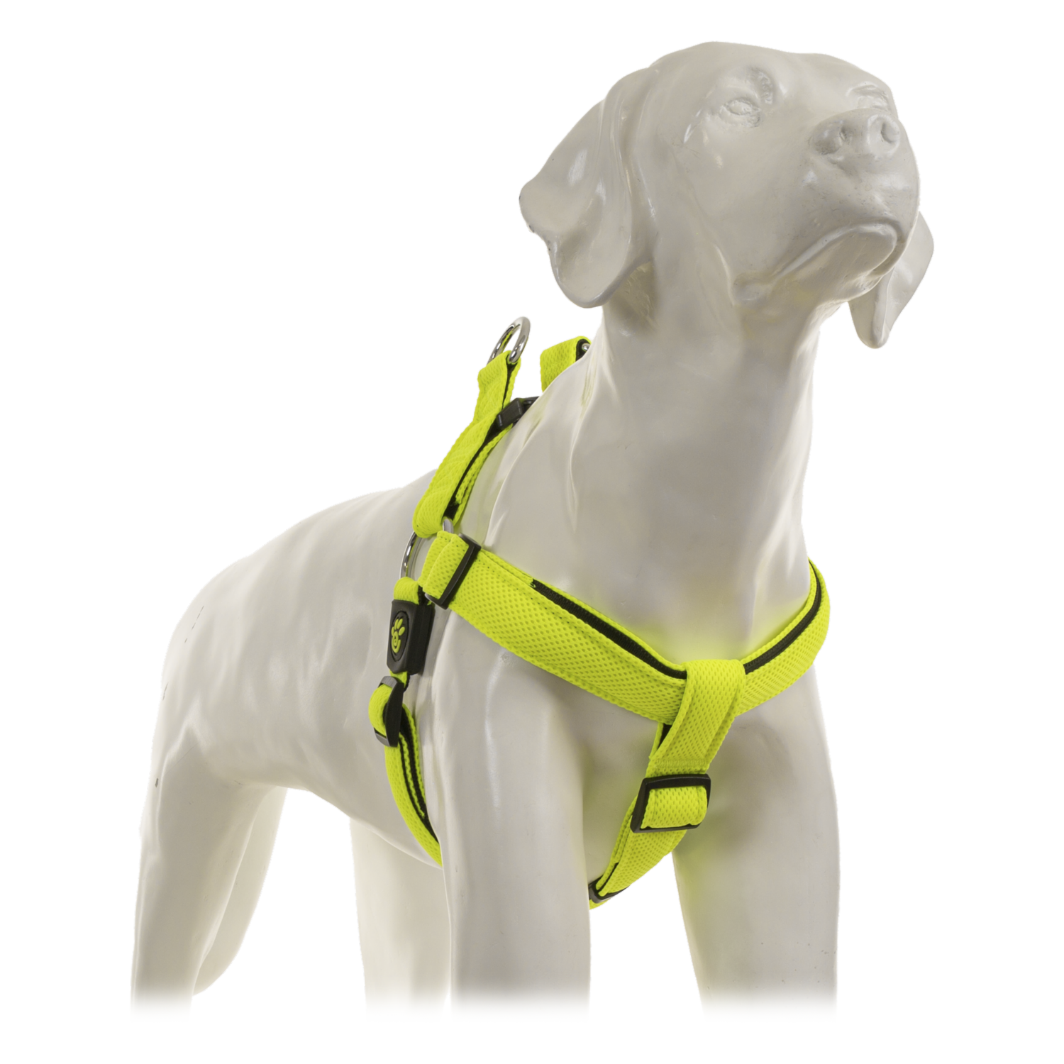 Arnés Para Perro Triangular De Nyon Texturizado Color Verde DOCO Talla Mediano