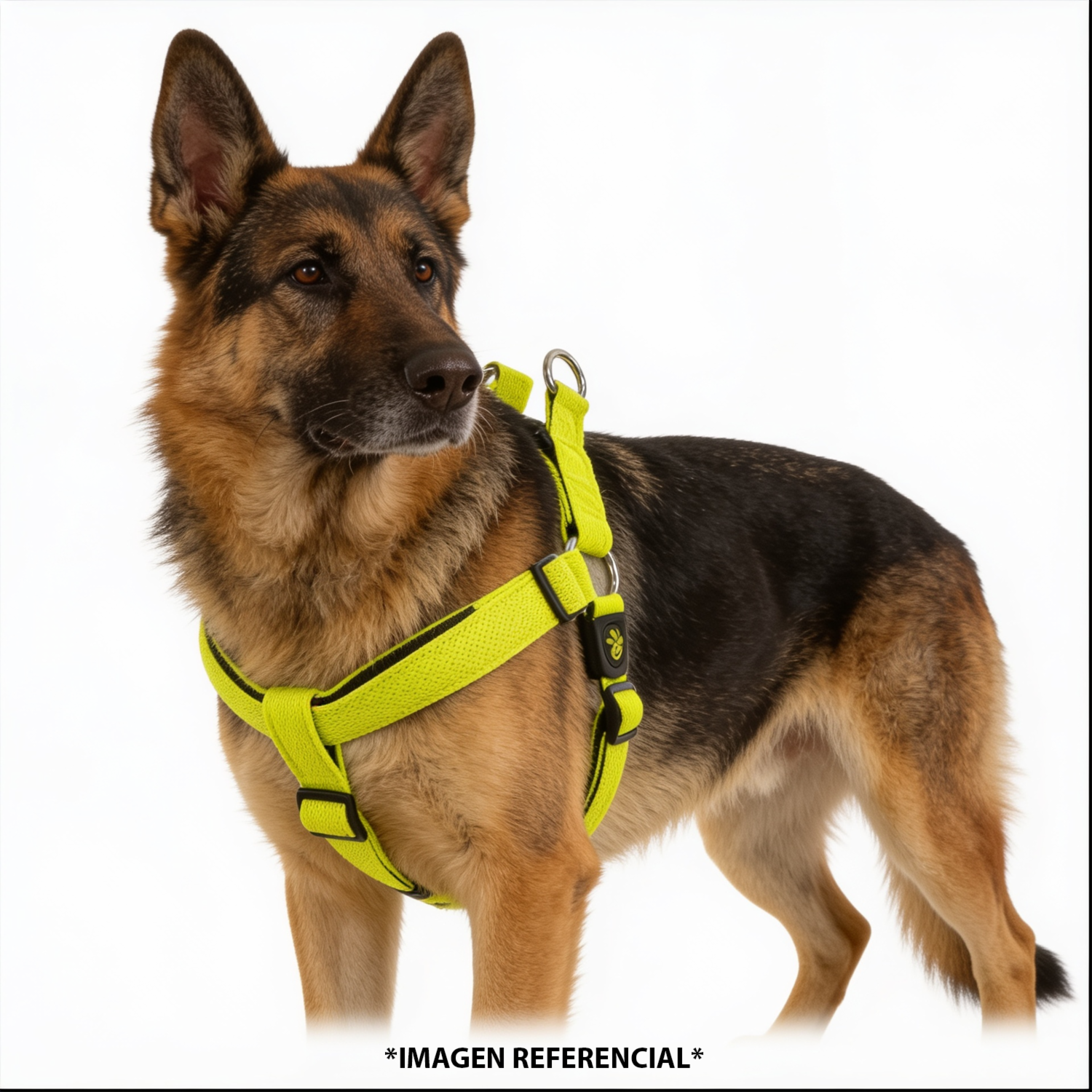 Arnés Para Perro Triangular De Nyon Texturizado Color Verde DOCO Talla Mediano