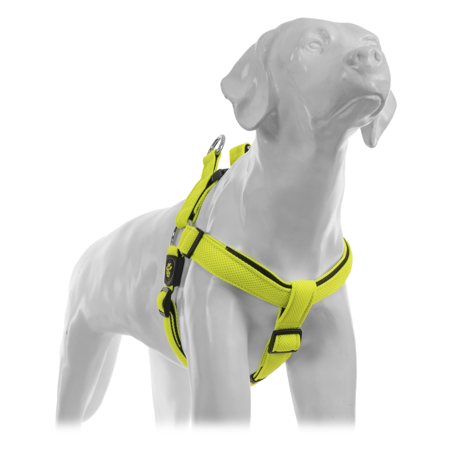 Arnés Para Perro Triangular De Nyon Texturizado Color Verde DOCO Talla Grande
