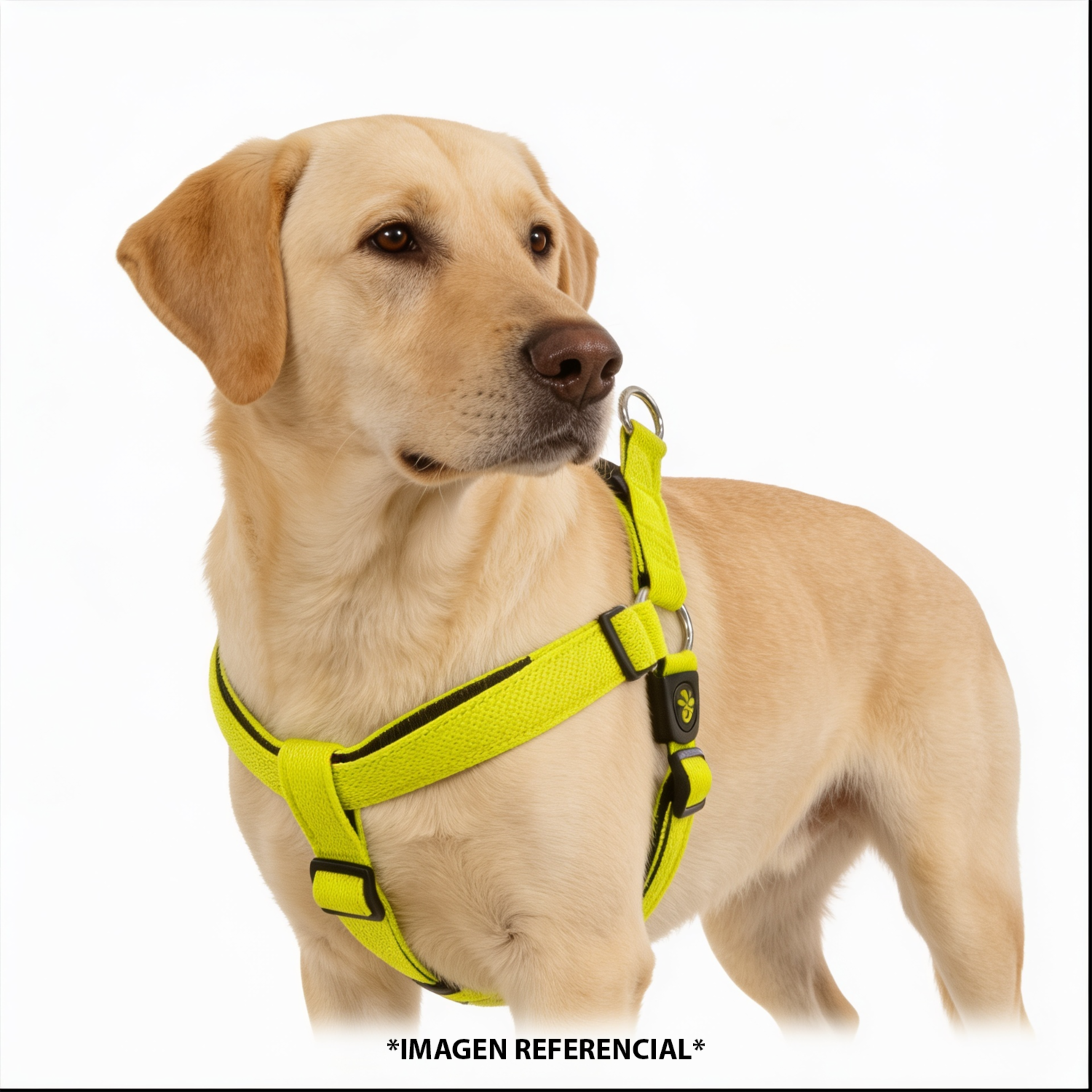 Arnés Para Perro Triangular De Nyon Texturizado Color Verde DOCO Talla Grande