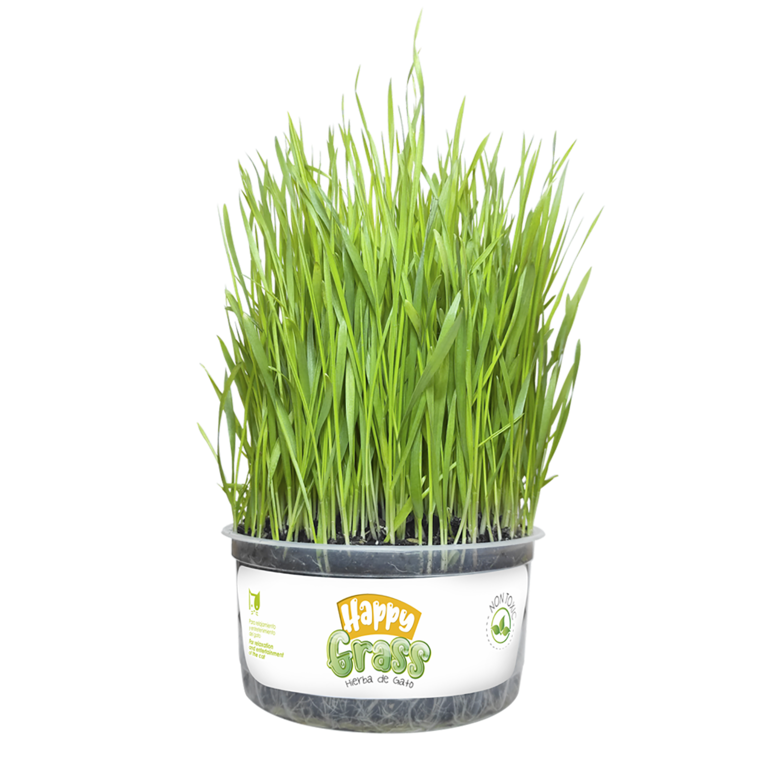 Hierba Gatera No Tóxica HAPPY GRASS 310 G