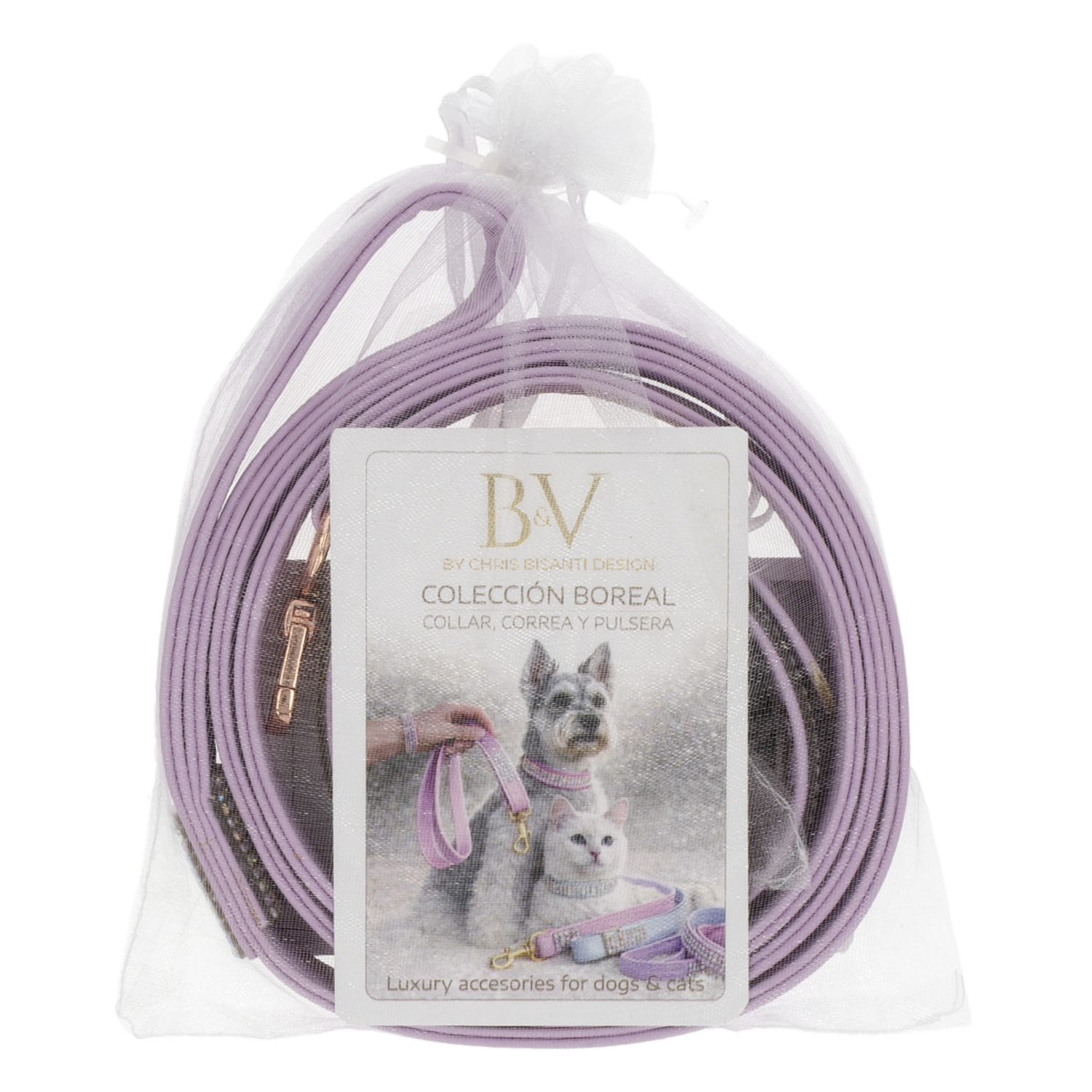 Set Para Gato Collar Correa Morado Brillante B&V CHRIS BISANTI 30-35 Cm