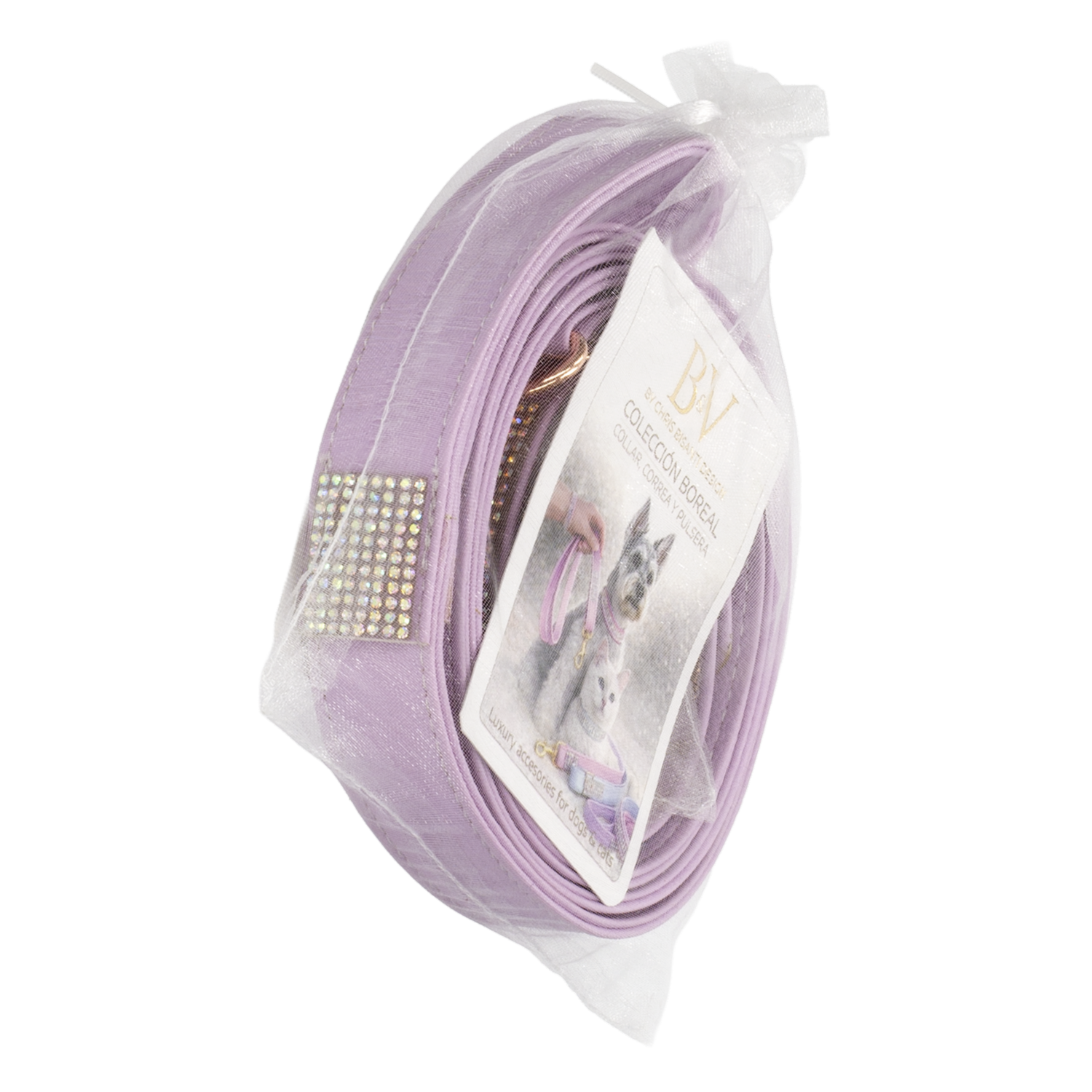 Set Para Gato Collar Correa Morado Brillante B&V CHRIS BISANTI 30-35 Cm