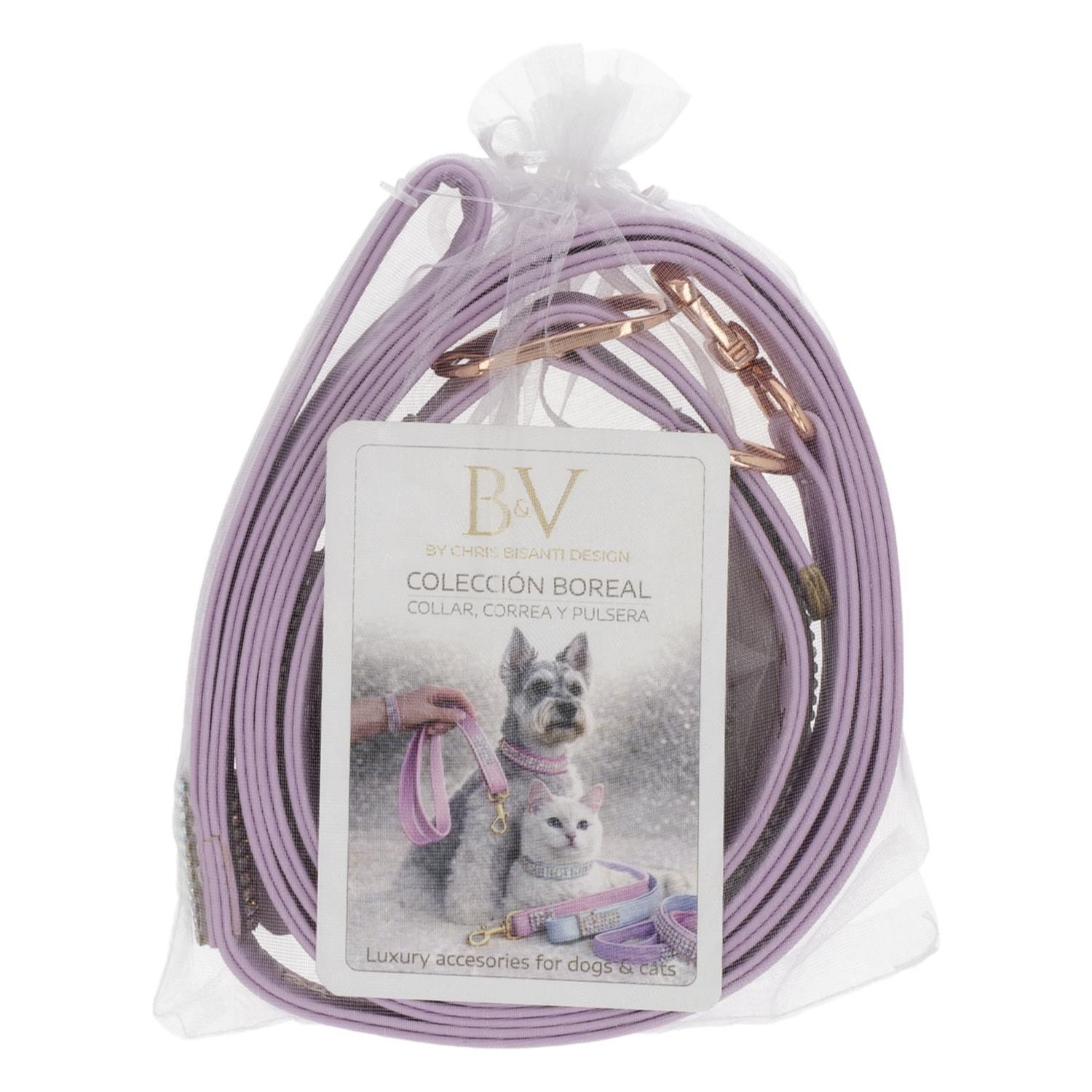 Set Para Gato Collar Correa Morado Brillante B&V CHRIS BISANTI 35-40 Cm