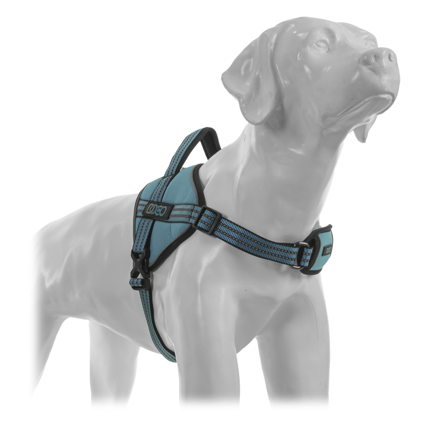 Arnés Para Perro Color Celeste DOCO Talla Grande