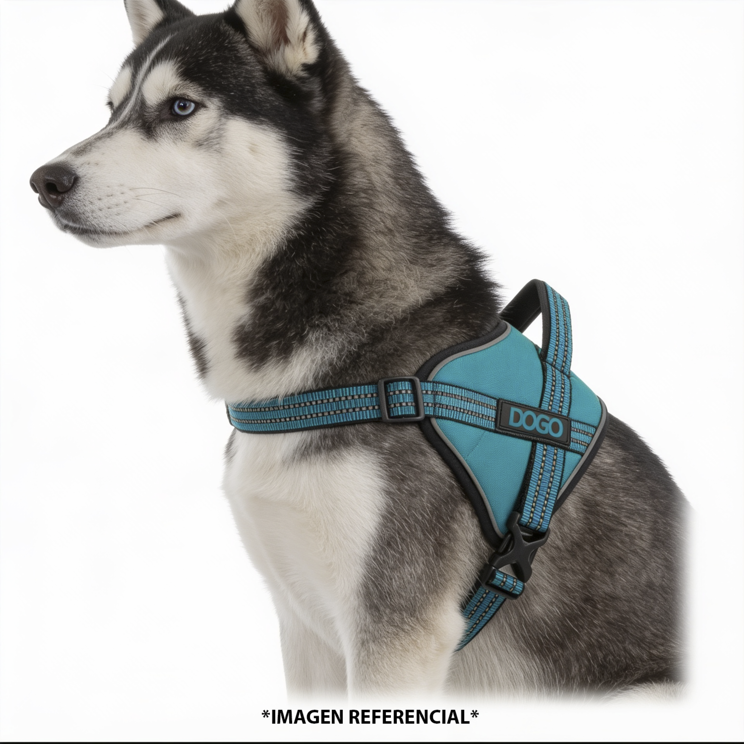 Arnés Para Perro Color Celeste DOCO Talla Grande